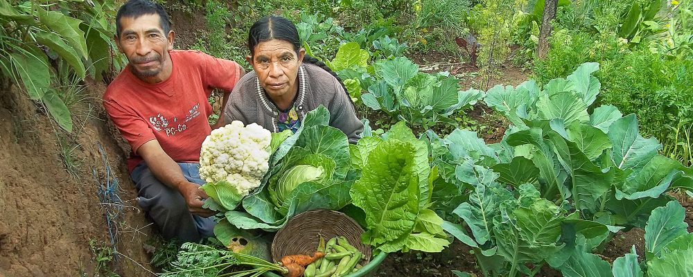 Food Program